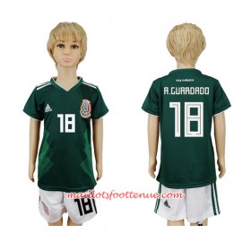 Maillot/Tenue Mexique A.Guardado 18 Enfant Domicile Coupe du monde 2018